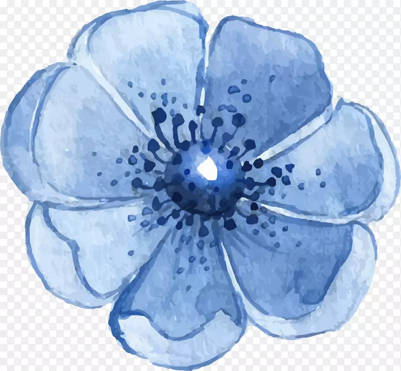 水彩蓝色花朵花卉