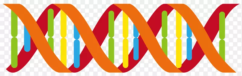 彩色矢量卡通风格DNA