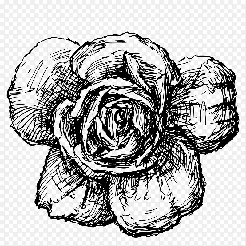 黑白花卉装饰玫瑰花