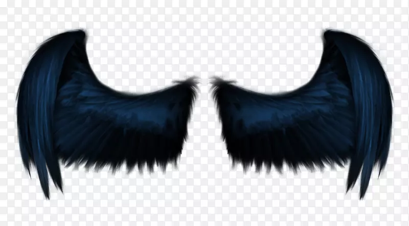 黑色羽翼
