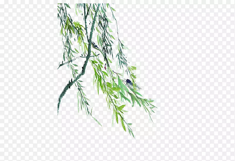 手绘彩色柳条素材PNG图片素材下载_图片编号ydoavwlq-免抠素材网