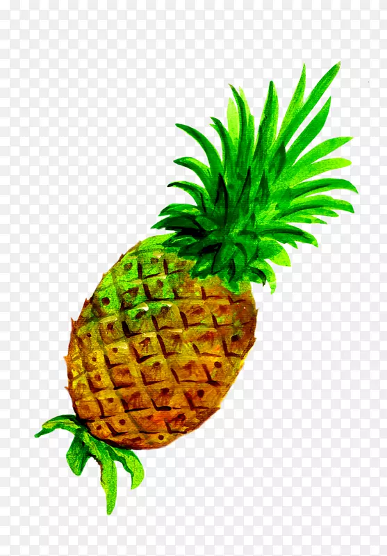 一棵菠萝