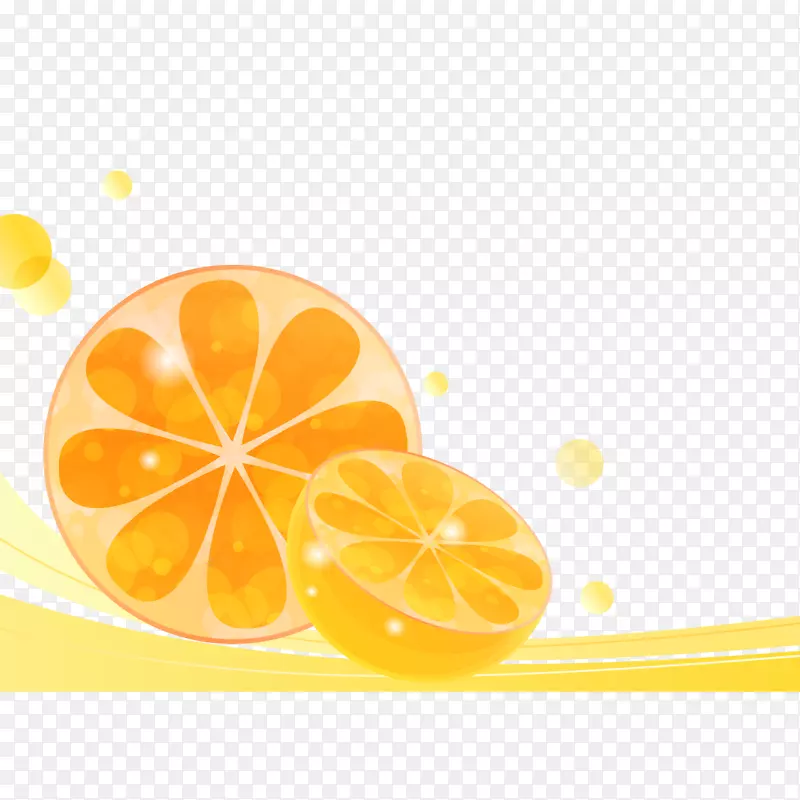矢量创意橘子素材