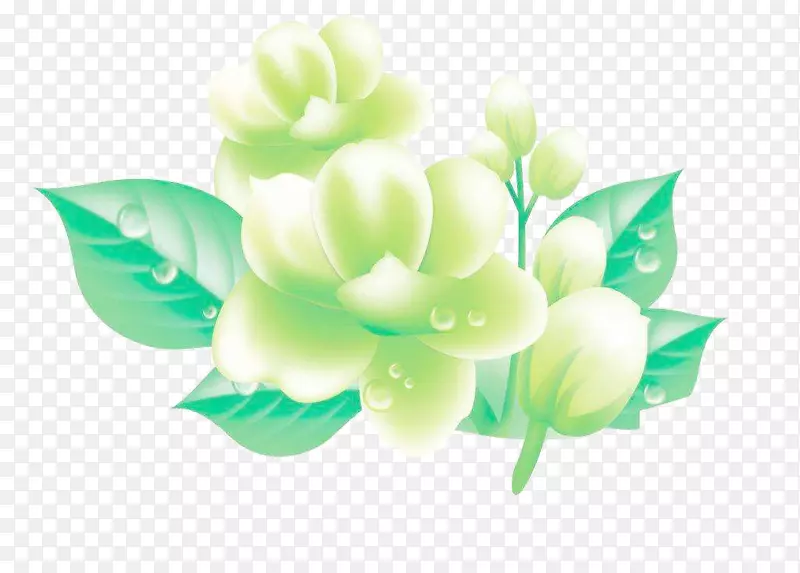 手绘茉莉茶