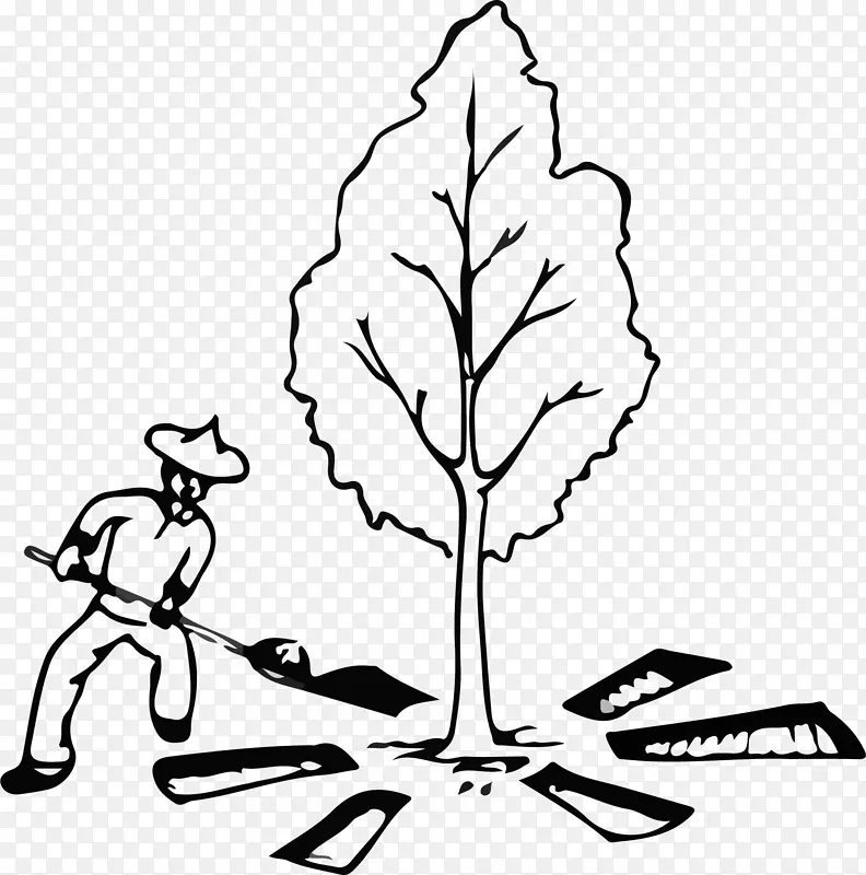 手绘农民给树木进行放射状沟法施