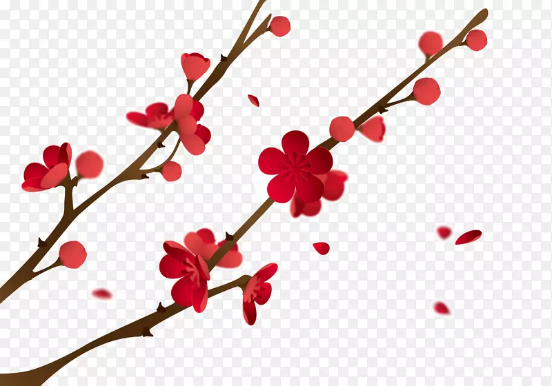 红色的梅花和树枝