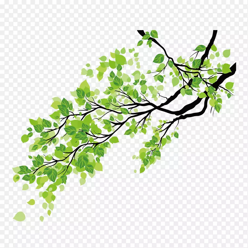 矢量绿色植物小树PNG图片素材下载_图片编号qolgblny-免抠素材网
