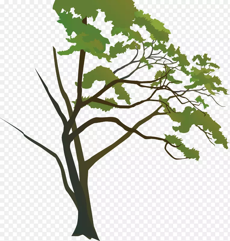 手绘自然大树插画素材