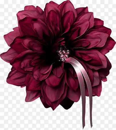 紫红色鲜花