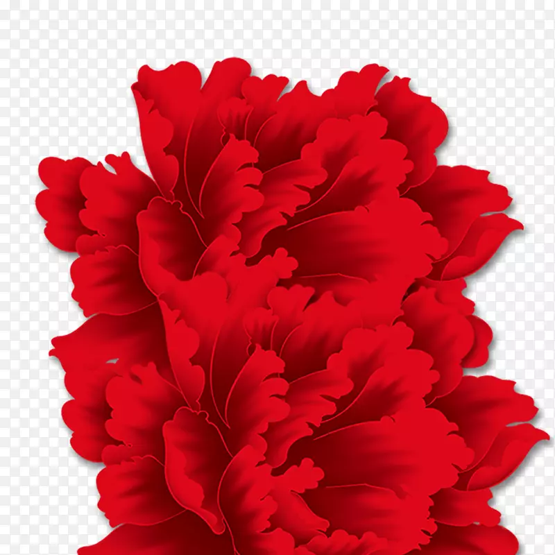 春节大红花
