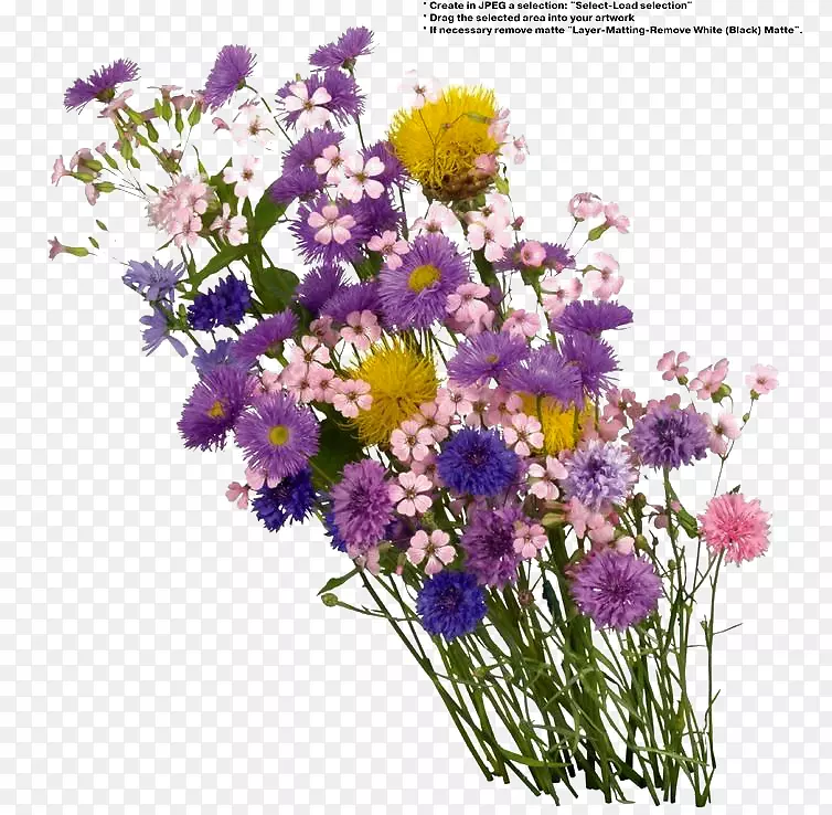 紫色花朵构成的花束免扣素材