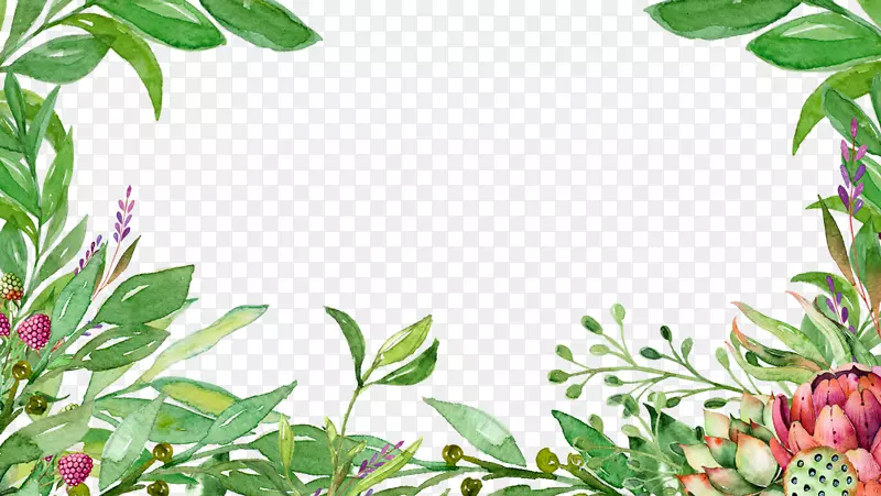 清新淡雅水彩手绘花卉绿叶边框