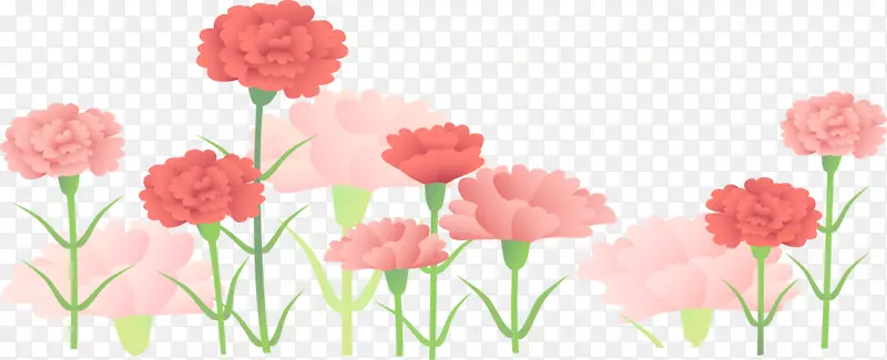 粉色美丽母亲节花丛