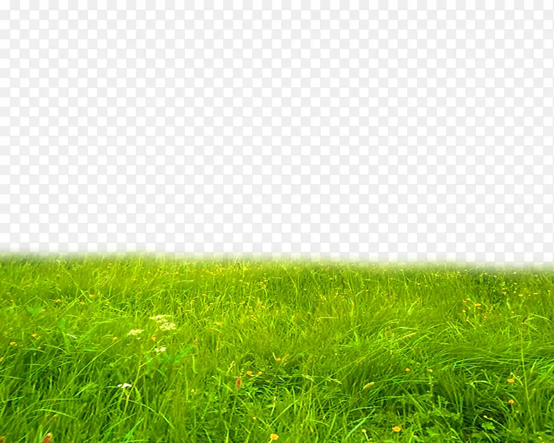 绿色清新草坪边框纹理