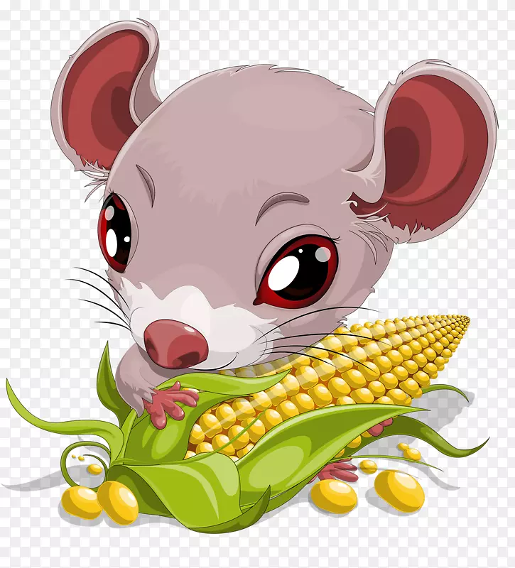 吃玉米的老鼠
