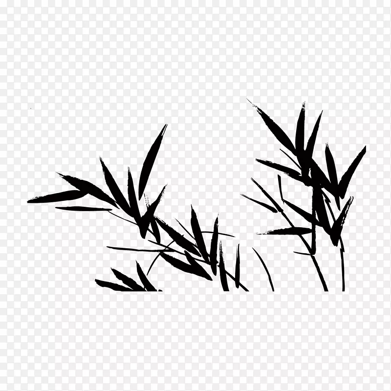 手绘竹子