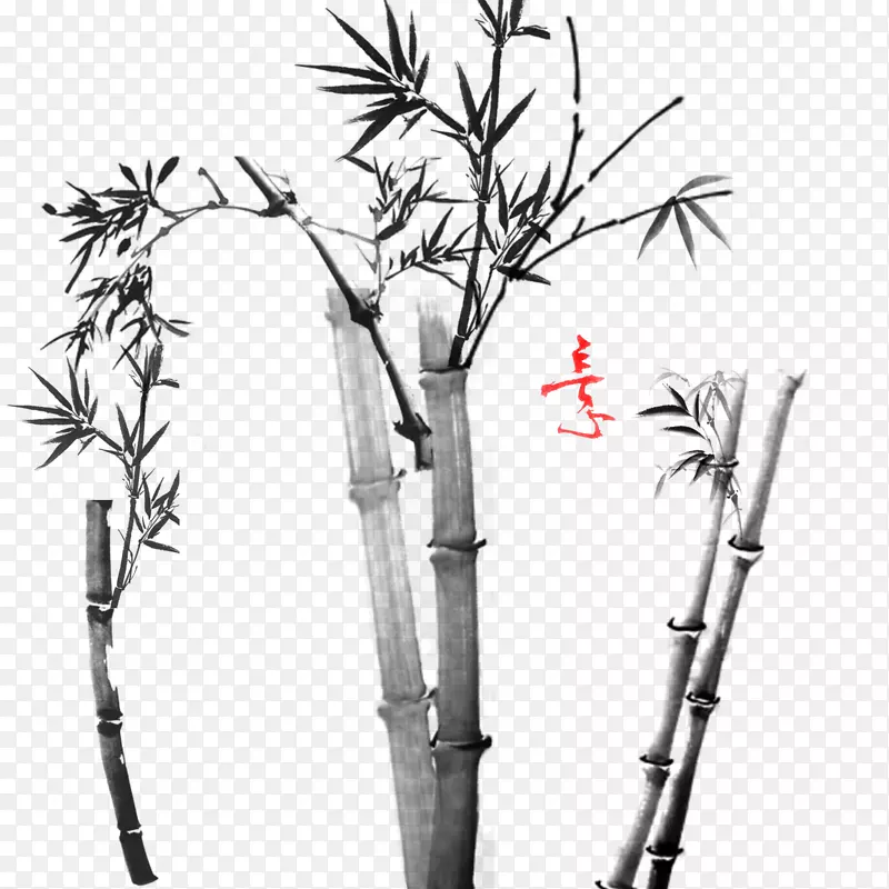 写意竹子下载