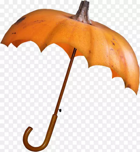 木柄南瓜伞