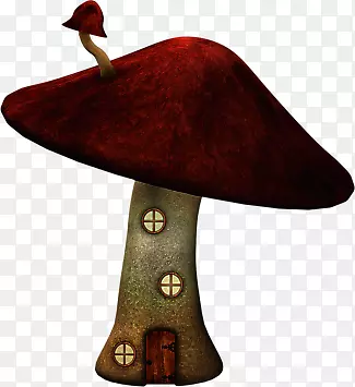 酒红色蘑菇房子