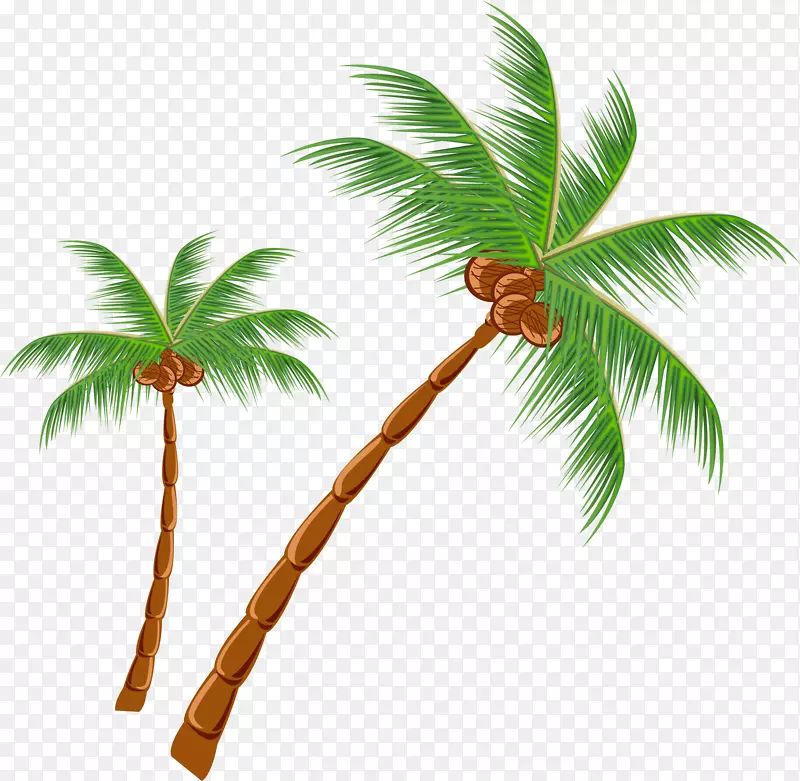 热带椰树手绘卡通