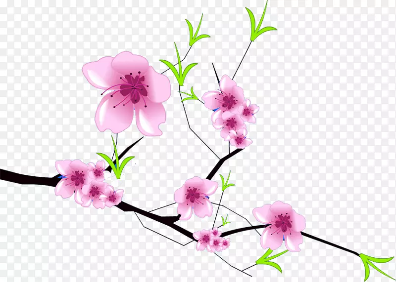 梅花