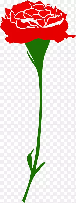 新鲜的大红花