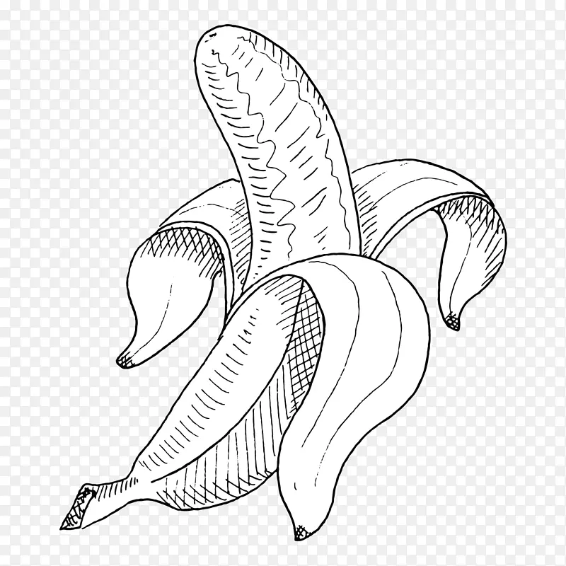 初夏水果素描香蕉免抠