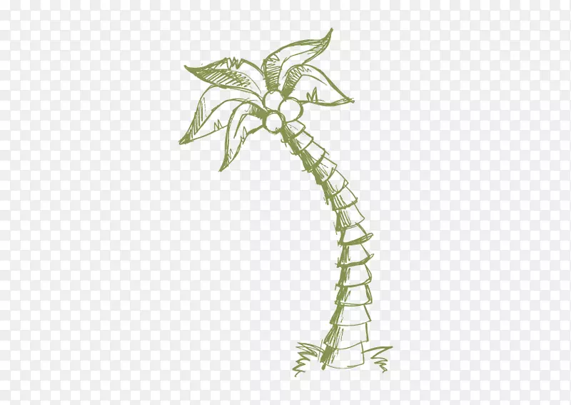 矢量椰树手绘