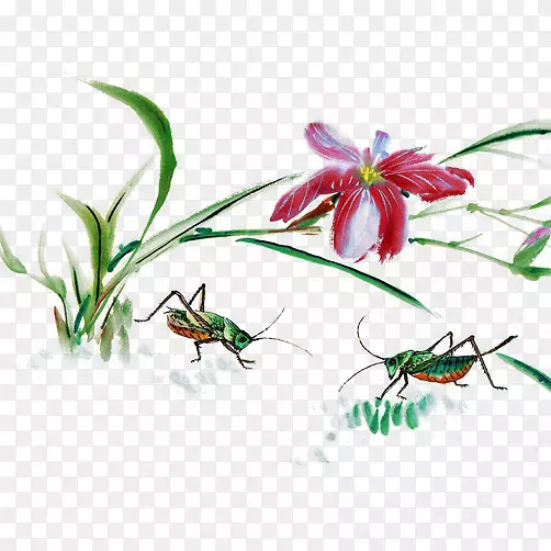 蚂蚱花卉组合水墨画