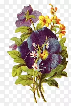 手绘花素材花