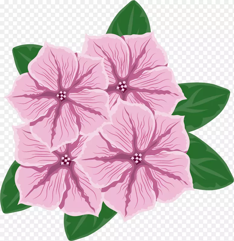 四朵矢量粉色牵牛花