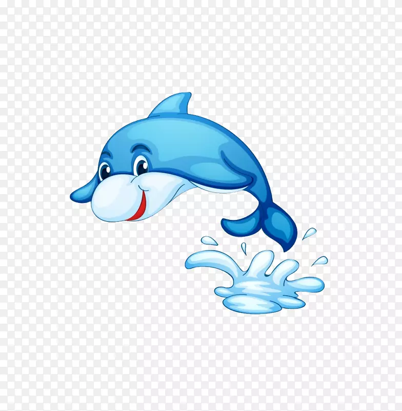 海豚和水