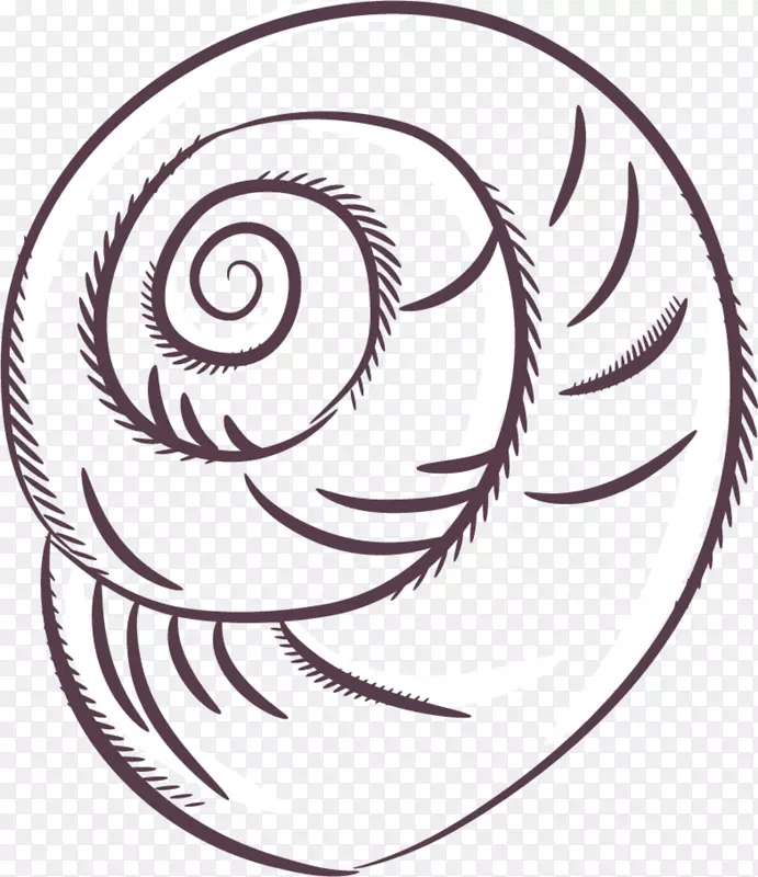素描棕色蜗牛壳