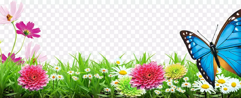 芬香花草地