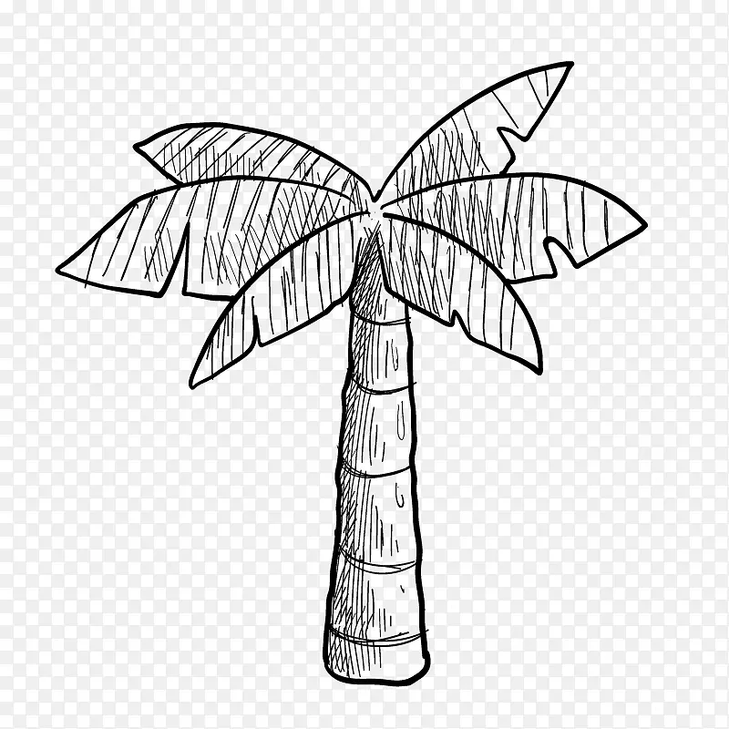 手绘的椰子树