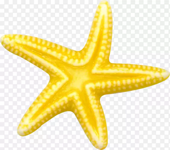 海洋星星