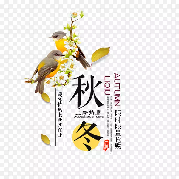 秋冬上新清新文案