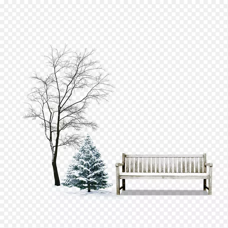 下雪场景雪覆盖树