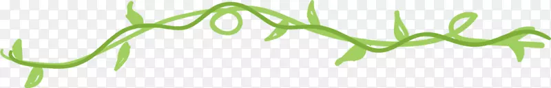 绿色春季藤蔓植物
