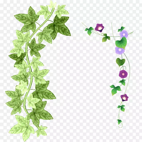 绿色植物素材PNG图片素材下载_图片编号qwwpdpeq-免抠素材网