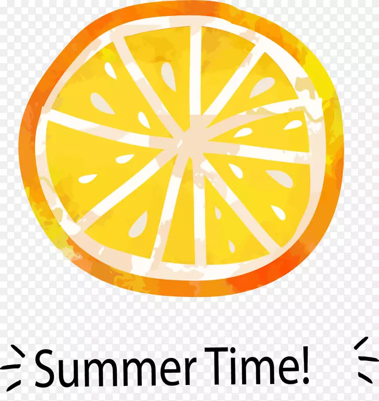 夏季时光手绘橙子