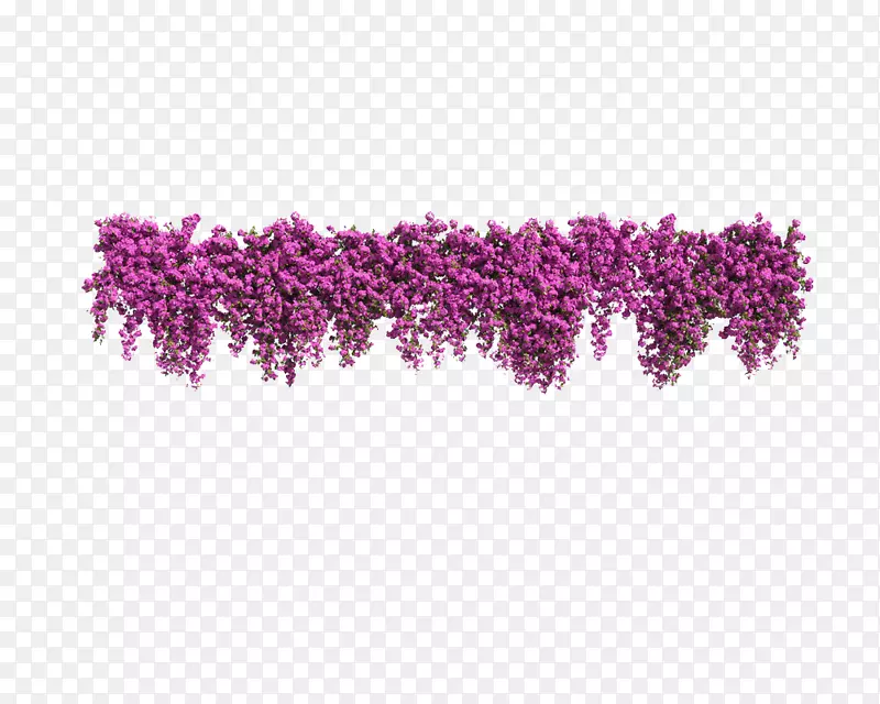 一排紫色花草垂吊植物
