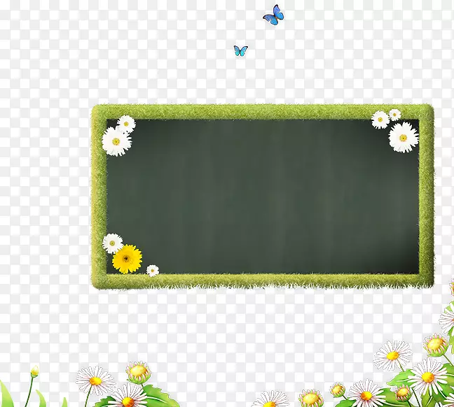 黑板上的菊花