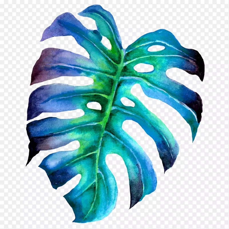 蓝色手绘树叶植物
