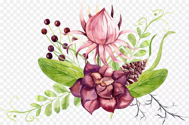 手绘水彩小清新植物免抠图