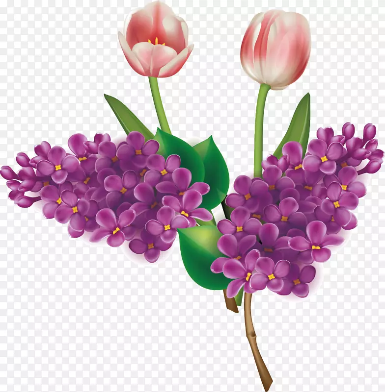 紫金花百合花素材