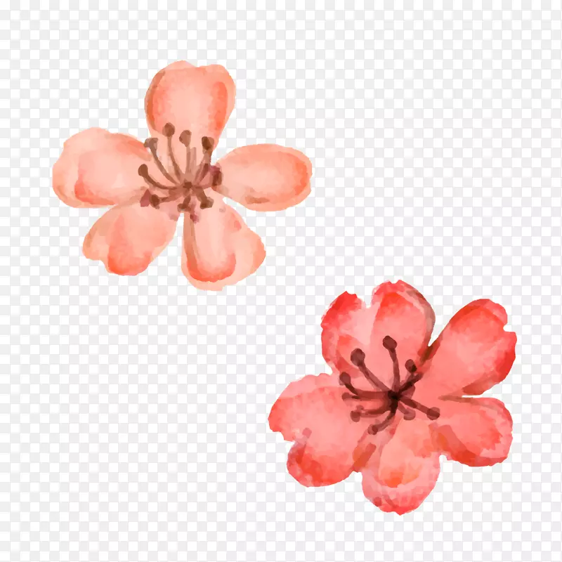 春天花朵粉色植物