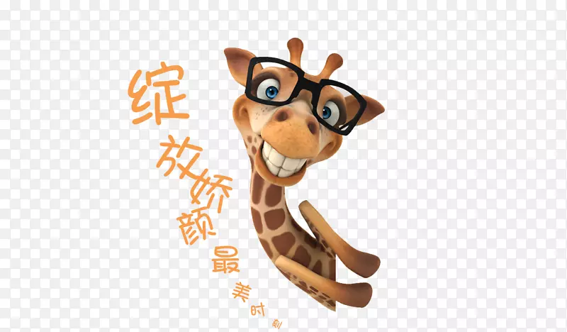 绽放 胶颜