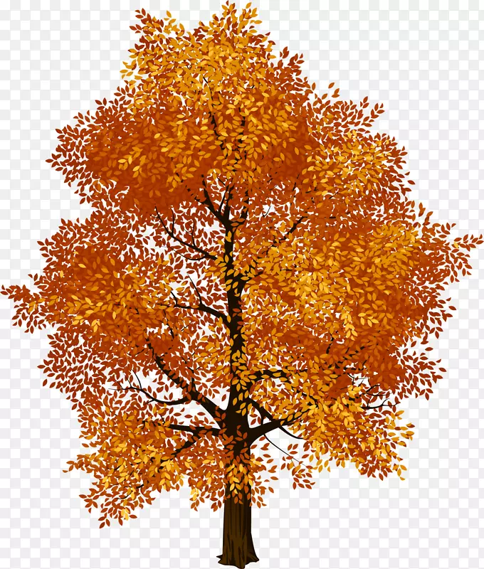 秋天黄色大树