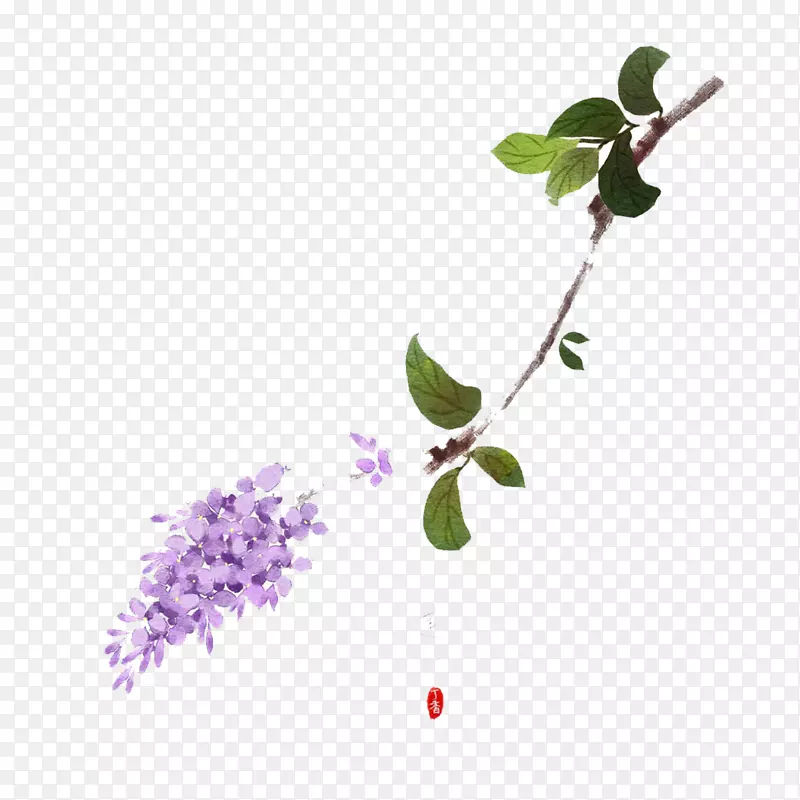 紫色丁香花